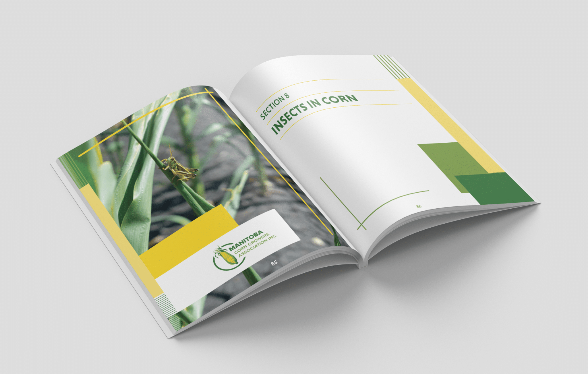 MCGA 9 Booklet opened to a page titled